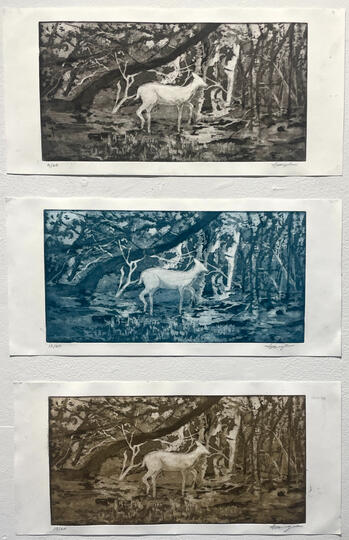 Untitled, 2023, Aquatint, 7” x 15”